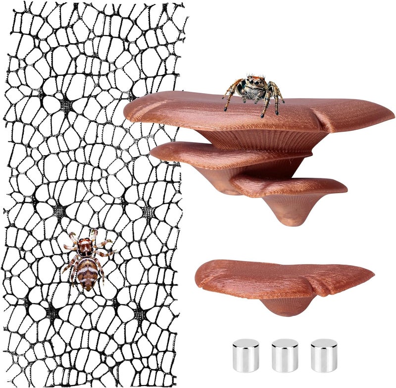 Cynailli Jumping Spider Hide Habitat Accessories, Brown Jumping Spider Enclosure Mushroom Shelf Magnetically Concealed, Jumping Spider Web with Magnets, Jumping Spider Enclosure Climbing and Feeding Platforms - Image 1